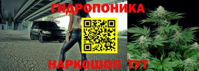трава Будённовск