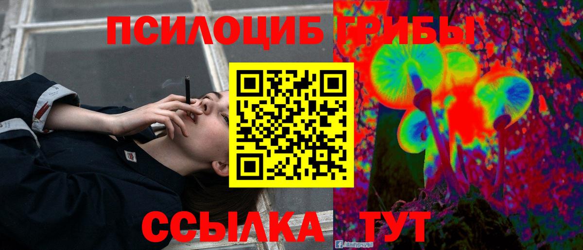 Псилоцибиновые грибы прущие грибы  Вход с VPN  Псилоцибиновые грибы мухоморы  хочу   Гусь-Хрустальный 