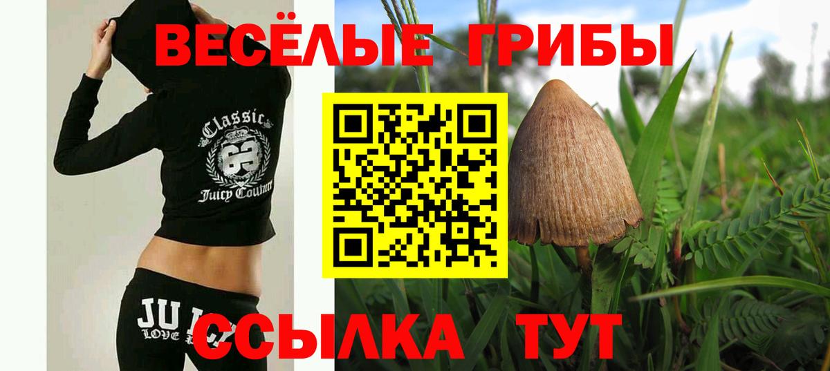 Галлюциногенные грибы Magic Shrooms Гусь-Хрустальный